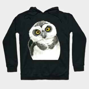 Owl Hoodie